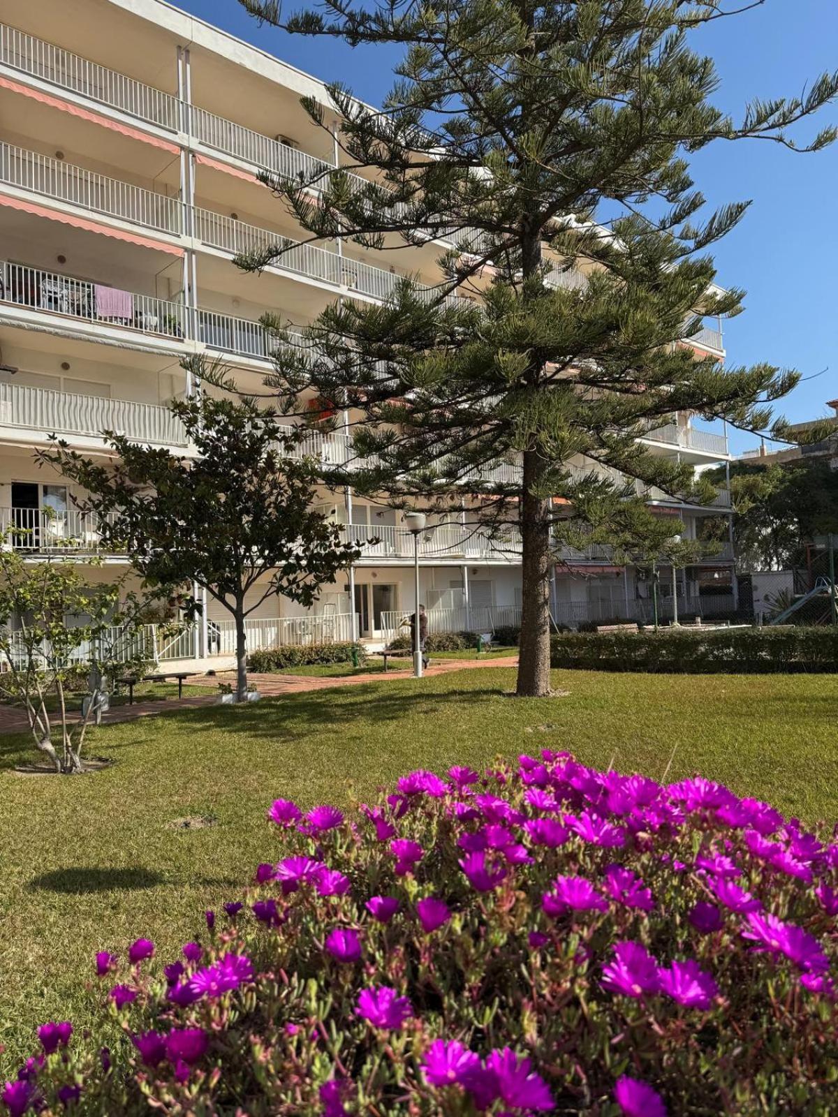Apartamentos Hesperia Palmyra Salou Esterno foto